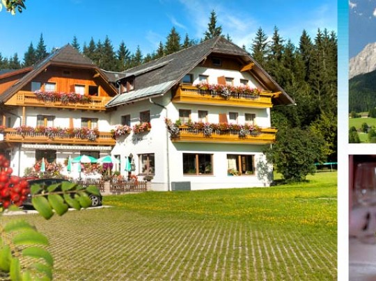 Pension Gasthof Fichtenheim