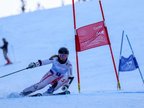 Skilehrerfestival 2026 - RTL Renntag